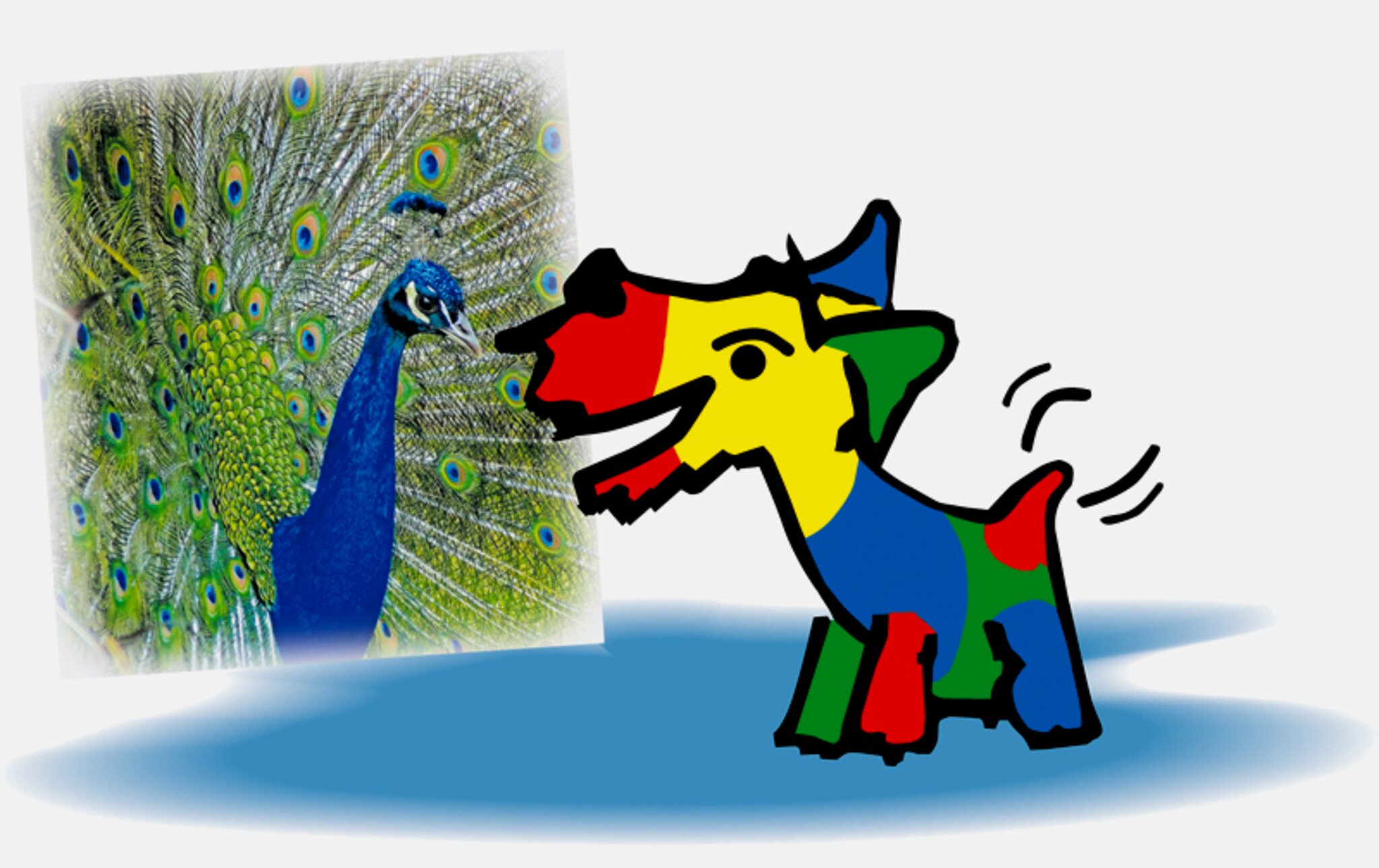 Hallo und guten Tag TicketAufschlag als Stuttgart 21 Notopfer Singen