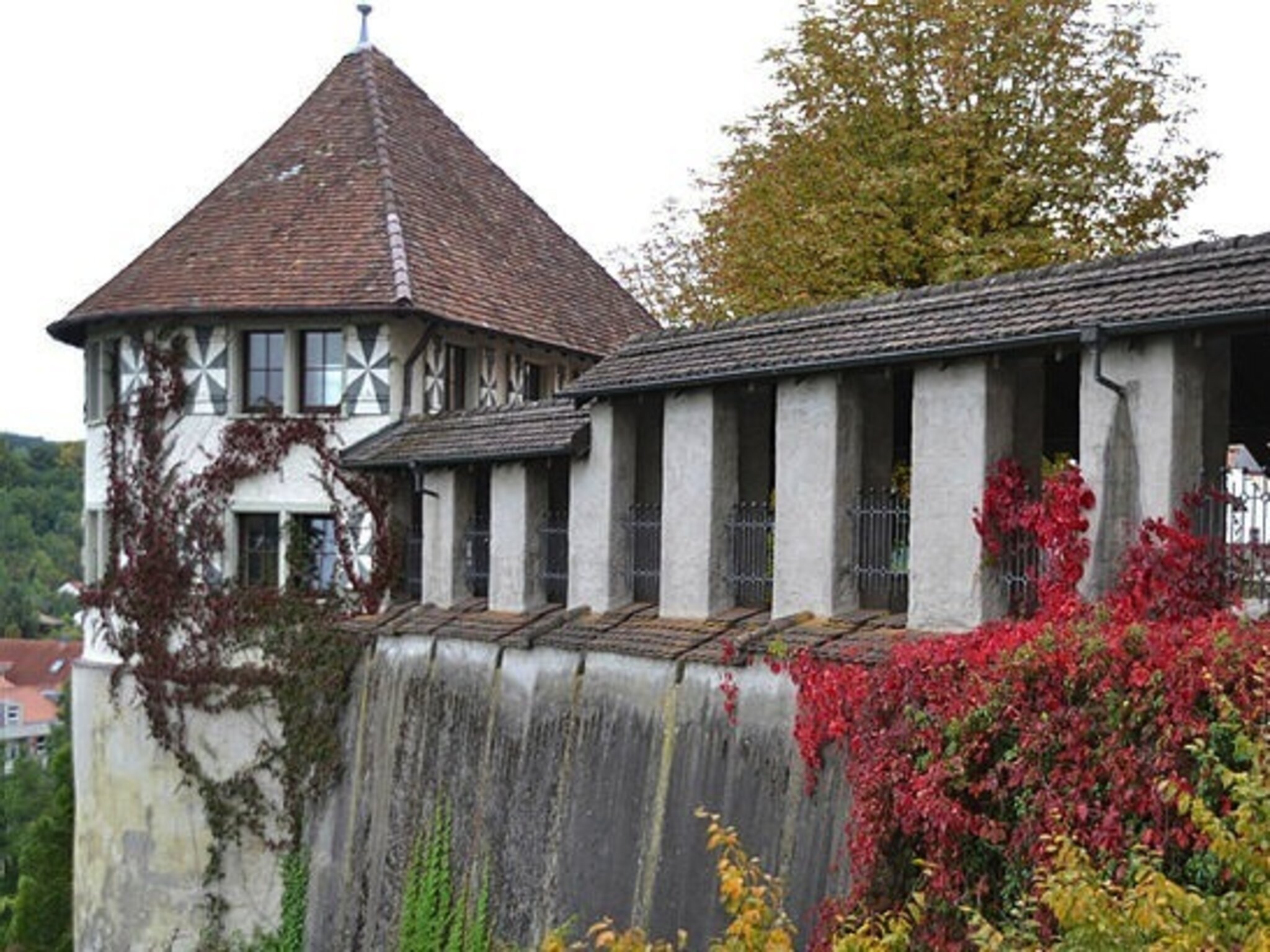 Alles Was Wir Geben Mussten Buch Kapitel Zusammenfassung Alles Was Wir Geben Mussten Buchzusammenfassung - Buch Lesen