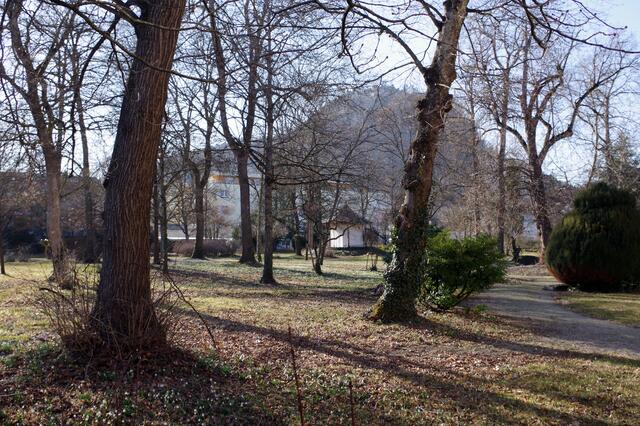 Der Singener Schlossgarten vor dem Start in den Bau des Schlossquartiers. | Foto: Oliver Fiedler