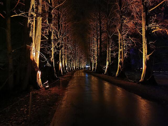 Christmas Garden auf der Mainau. | Foto: Oliver Fiedler