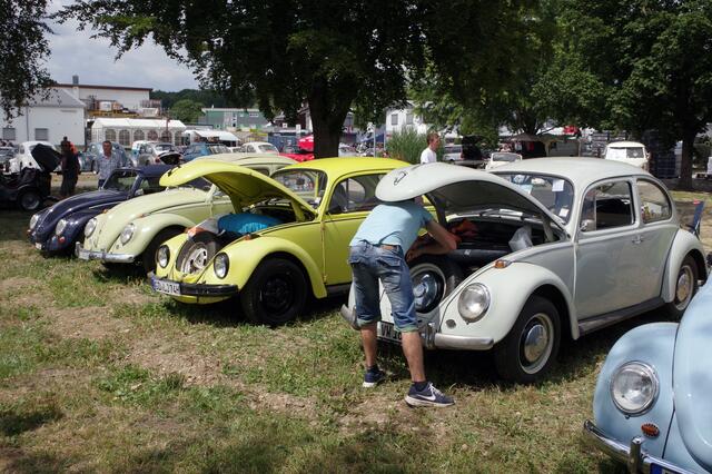 Zum 16. Mal ein ganzes Dorf voller Käfer und seiner Verwandten beim Käfertreffen in Volkertshausen.