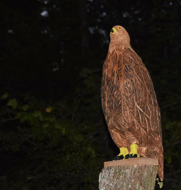 Etienne Kinninger stellte bei der Sitzgruppe seine selbst geschnitzte Figur vor: "Eigentlich sollte das ein Milan sein. Jetzt haben wir uns darauf geeinigt: Das ist einfach ein Vogel." | Foto: Anja Kurz