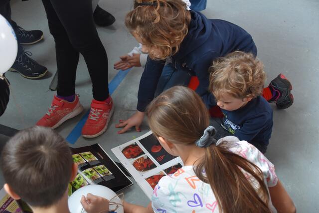 Foto: Philipp Findling