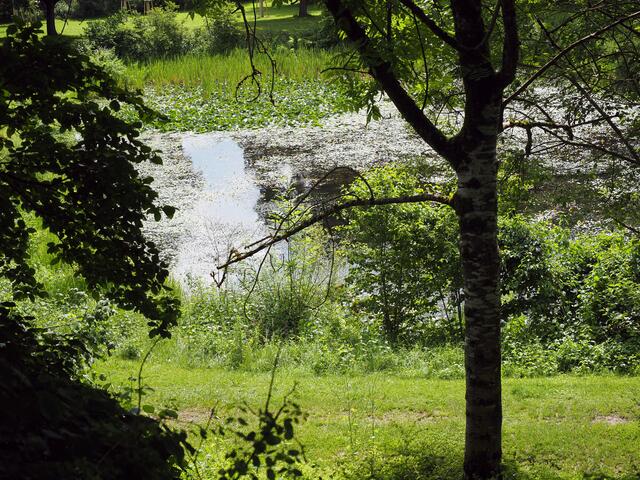Foto: Fiedler