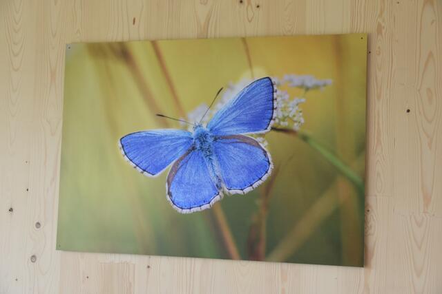 Foto: Philipp Findling