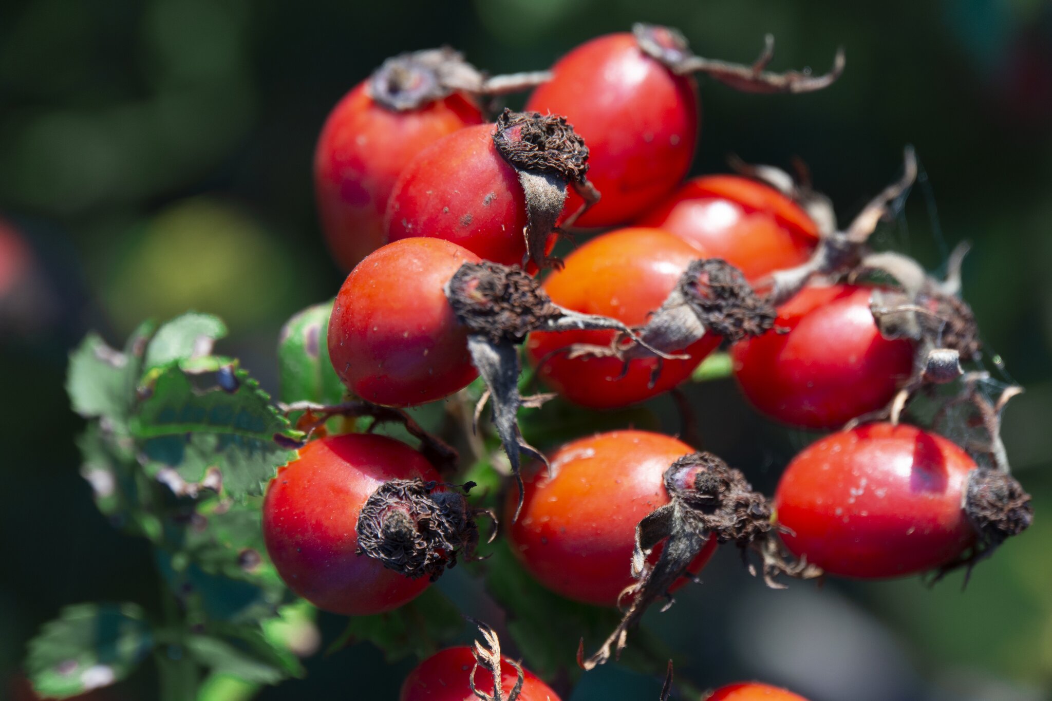 UmweltZentrum Stockach: Den Herbst schmecken beim ...
