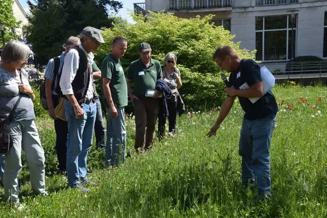 Reinhard Witt (rechts), Naturgartenplaner der Naturgarten e.V., demonstriert den Teilnehmenden der Auftaktveranstaltung an einem Wiesenstreifen vor dem Rathaus die ersten Erfolge - also neue Arten -, die dort nach der Aussaat 2023 zu sehen sind. | Foto: Anja Kurz