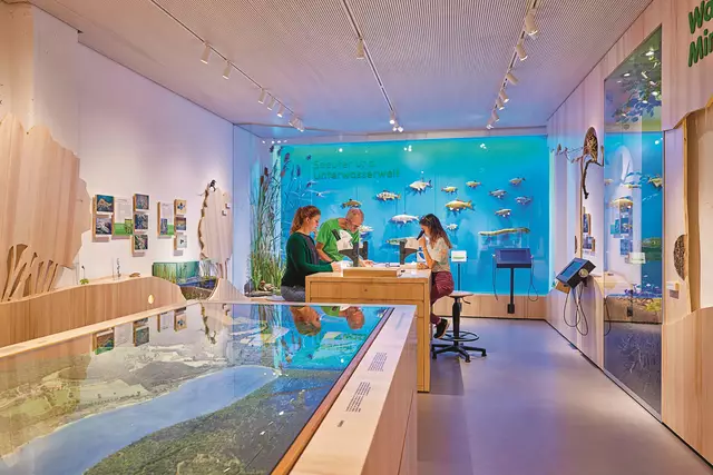 Die Mindelsee-Ausstellung in Radolfzell ist eine Möglichkeit, um ein FÖJ absolvieren zu können.
 | Foto: Martin Maier
