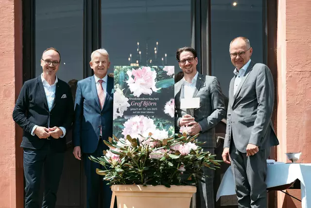 Oberbürgermeister Uli Burchardt (von links), Züchter Jan-Dieter Bruns von der Baumschule Bruns, Mainau-Geschäftsführer Björn Graf Bernadotte und Mainau-Gartendirektor Markus Zeiler tauften die neue Rhododendronsorte 'Graf Björn'. | Foto: Insel Mainau/Torben Nuding