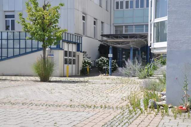Seit zwei Jahren steht das Zeller Krankenhaus leer, nun steht fest, welche Teile des Gebäudes noch eine Zukunft haben. | Foto: Anja Kurz
