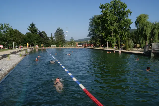 Schwimmen im natürlichen Quellwasser - das ist seit 2009 im Naturbad Aachtal in Worblingen möglich.  | Foto: Gemeinde Rielasingen-Worblingen