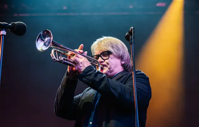 Mit viel Melancholie sowie einem Flair von Chansons konnten Element of Crime um Frontmann Sven Regener das Publikum am Singener Rathausplatz am 24. Juli vollends begeistern. | Foto: Felix Zimmermann