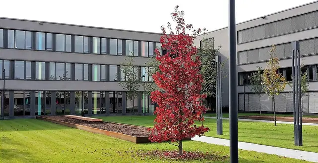 Am 17. September findet im BSZ Radolfzell die Last Minute Zukunftsbörse statt.  | Foto: BSZ Radolfzell/Archiv