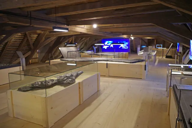 Im Jahr 2021 eröffnet, im Jahr 2025 geschlossen: Doch das Ende des Urweltmuseums ist eine reelle Chance für den Museumsförderverein, das seit 15 Jahren diskutierte Museum über die Ur- und Frühgeschichte der Gemeinde im Torkel zu realisieren. | Foto: Archiv