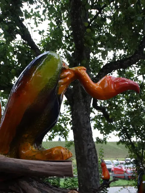 Jede Menge ausgefallene Keramik in den verschiedensten Formen und Farben gab es beim Töpfermarkt in Gailingen zu sehen. | Foto: Marcelino Rüth