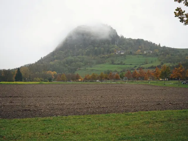 Auf diesem Grundstück in Singen-Nord soll das neue Klinikum entstehen. Die erste Planungsrate in Höhe von drei Millionen Euro deckt unter anderen die vorbereitenden archäologischen Arbeiten auf dem Gelände. | Foto: swb-Archiv