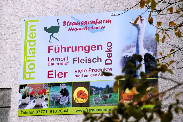 Foto: Constanze Wyneken