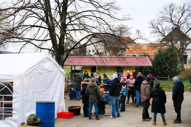 Foto: Constanze Wyneken