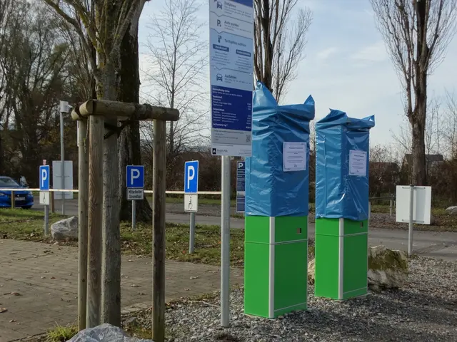 Die Parkautomaten in Moos sind derzeit in Winterruhe. Bei einem Bürgerforum wurde kürzlich über die bisherigen Ergebnisse und mögliche Verbesserungen gesprochen. | Foto: Marcelino Rüth