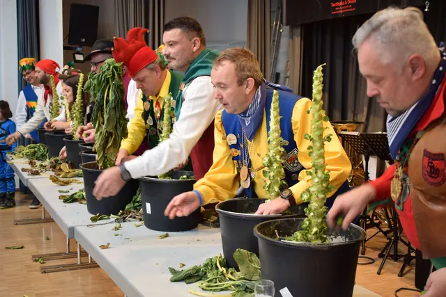 Zur Ermittlung der Umzugsreihenfolge beim Höriumzug musste ein stattlichen Rosenkohlstock in Rekordzeit abgeerntet werden. | Foto: Achim Holzmann