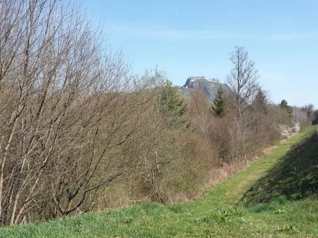 Symbolbild - Das Gewann Dellenhau mit dem Hohentwiel im Hintergrund. | Foto:  swb-Bild: Archiv