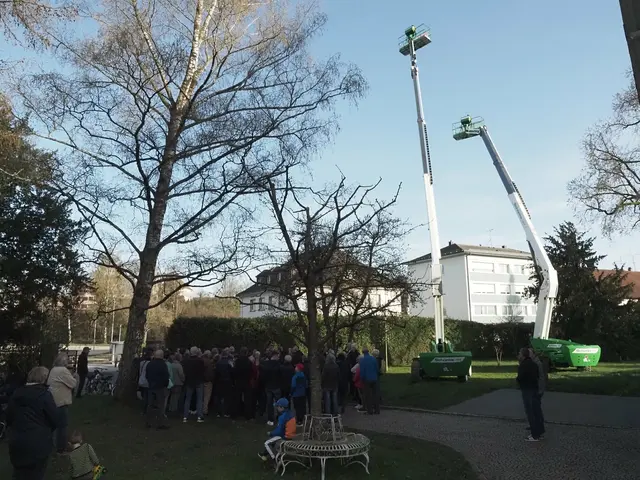 Ein Bild von der Aktion "19 statt 25" Meter. | Foto: of/Archiv
