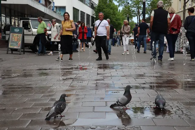 Foto: Sebastian Ridder