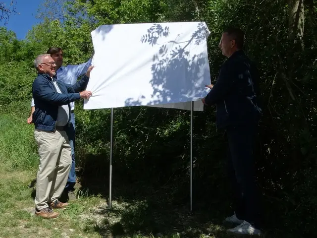 Enthüllung mit vereinten Kräften: Alt-Bürgermeister Hans-Peter Lehmann (von links), Landrat Zeno Danner und Bürgermeister Patrick Stärk präsentieren eine der neuen Tafeln am Mädgeberg. | Foto: Marcelino Rüth