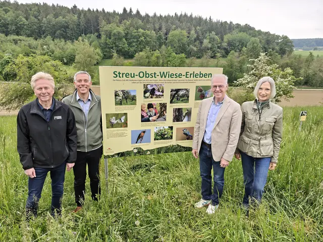 Zentral auf der Streuobstwiese steht eine Infotafel, die einen Überblick des Projekts gibt. Daneben (von links): Dieter Grudda (Bürgerstiftung Engen), Jens Laufer (Allsafe Firmenstiftung), Johannes Moser (Präsident Rotary Club A81-Bodensee-Engen) und Caroline Geyer (Projektverantwortliche des Rotary Clubs). | Foto: Anja Kurz