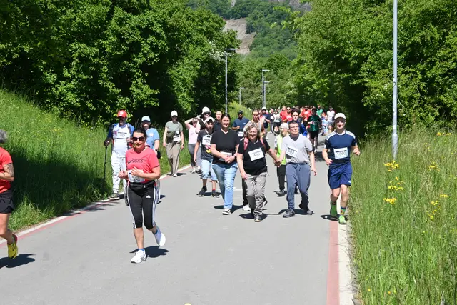 Foto: Tobias Lange