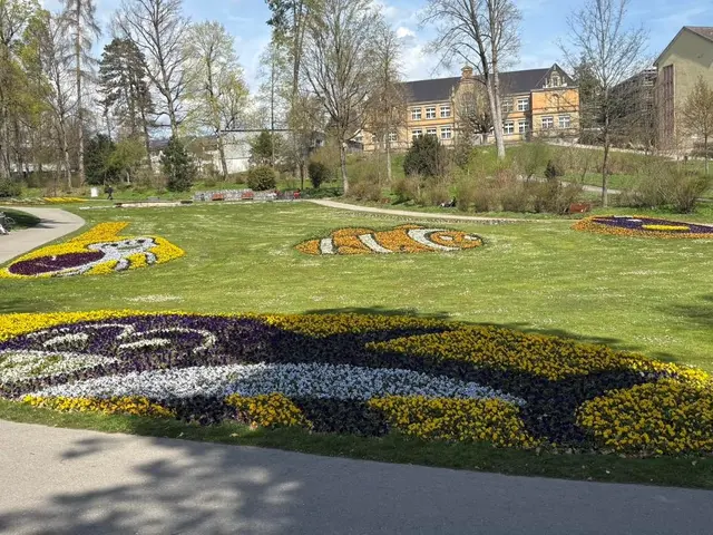 Besucher sind im ab dem 15. Mai willkommen hier im Stadtgarten die Frühjahrspflanzen mitzunehmen. Für die Sommerbepflanzung gilt das aber nicht im Herbst.  | Foto: Stadt Stockach