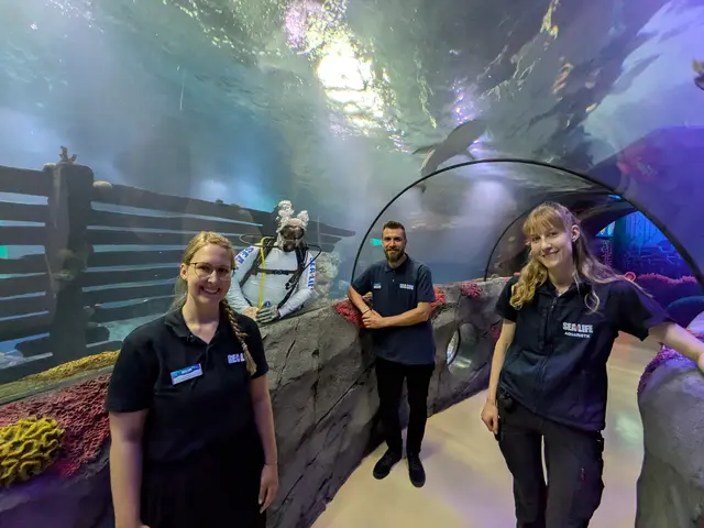 Die Haie im Ozeantunnel wirken zwar auf den ersten Blick bedrohlich, doch für die Aquaristen im Sealife Konstanz sind sie liebgewonnene Bekannte. Von links: Marketingmanagerin Lisa Blume, Kurator David Garcia und die Aquaristen Julius Ränger und Lena Seidel | Foto: Sebastian Ridder