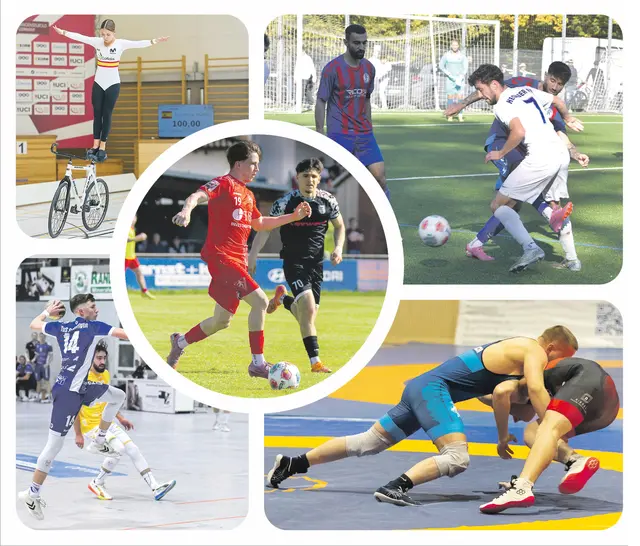 Foto: swb-Collage: Wochenblatt/Bilder: Daniel Kratschmar, Werner Spang, Philipp Findling, Stefan Matthis, Kai Salomon