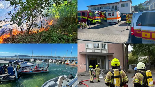 Es gab viel zu tun in der letzten Woche für die Feuerwehr Konstanz. Die Einsatzkräfte mussten zu einem Flächenbrand im Industriegebiet, sowie Hitzebränden und einem Notfall in der Marienschlucht ausrücken.  | Foto: Feuerwehr Konstanz
