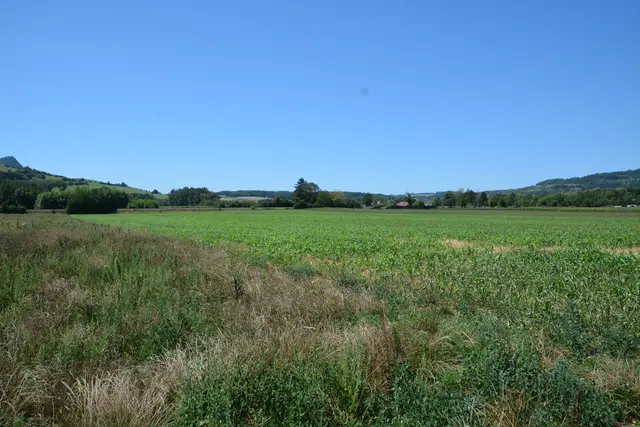 An der Gemarkungsgrenze zwischen Ehingen und Welschingen soll auf Ehinger Seite ein Solarpark entstehen. Im Gemeinderat hat er eine weitere Hürde genommen. | Foto: Tobias Lange