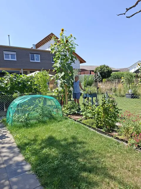 So eine Blume ist Annemarie Siegert noch nie gelungen. Siegerts Tochter steht Model zum Größenvergleich zu der knapp vier Meter großen Sonnenblume. | Foto: Annemarie Siegert