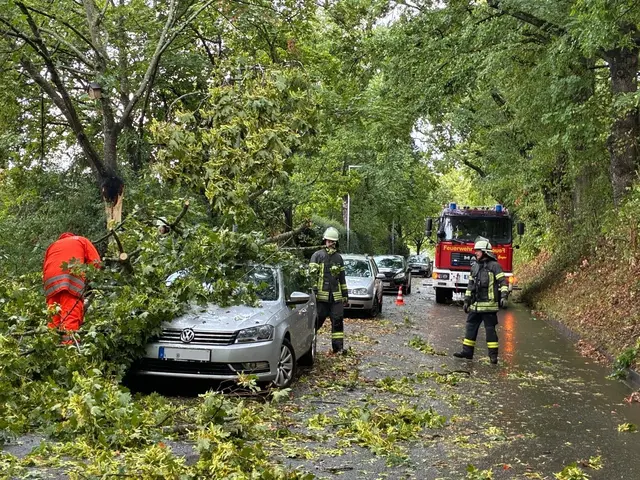Foto: Feuerwehr Radolfzell