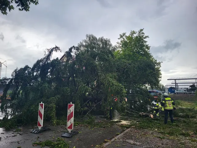 Foto: Feuerwehr Radolfzell