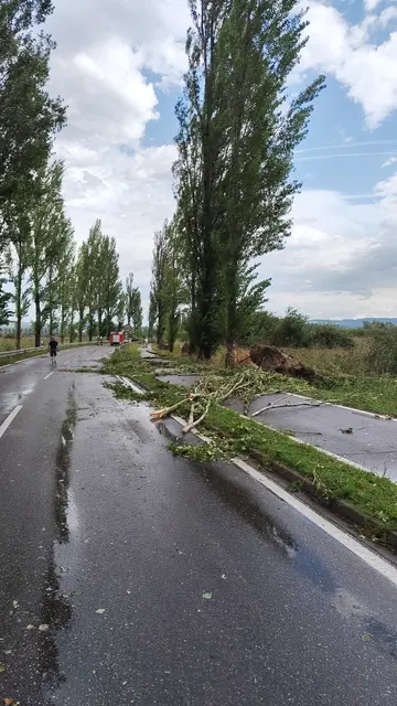 Foto: Feuerwehr Moos