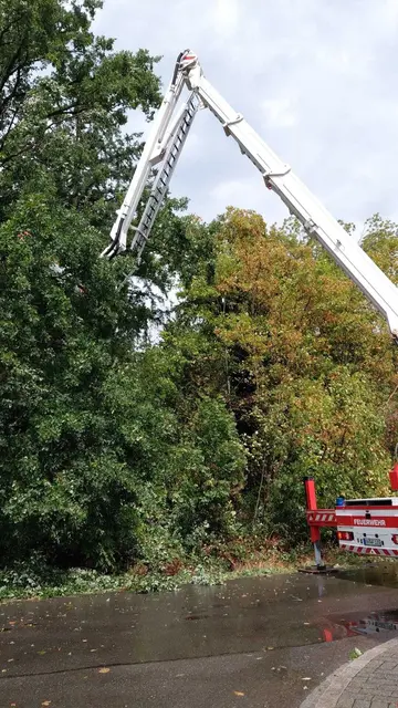 Foto: Feuerwehr Singen