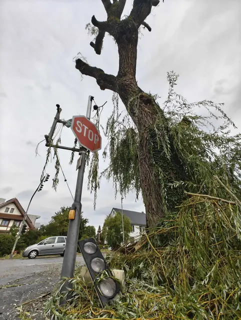 Der Sturm riss in Markelfingen nicht nur Bäume aus, sondern auch eine Ampel aus der Verankerung. Die Feuerwehr warnte am Freitag vor Gefahr für Autofahrer und Personen im Freien.  | Foto: Anja Kurz 
