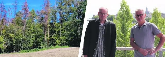 Links: Die Buchen in Theo Straubs Forstrevier kämpfen ums Überleben in diesem Sommer. Rechts: Rund dreißig Jahre sind Sie Teil der Konstanzer Wirtschaft in unterschiedlichen Branchen. Von Links: Geschäftsführer der solarcomplex ag in Singen, Bene Müller und der Förster der Mainau und des Reviers Reichenau/Allensbach, Theo Straub. | Foto: Collage: Aune Wohlfahrt Bilder: Theo Straub/Sebastian Ridder