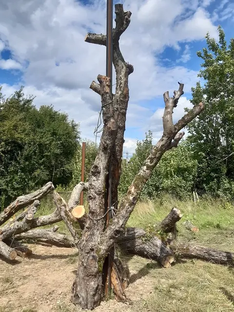 Indem Stämme von Obstbäumen stehend installiert werden, bleiben Kleinlebensräume für Vögel und Fledermäuse langfristig erhalten. Totholzgärten, wie dieser in der Gemeinde Vörstetten (Landkreis Emmendingen), sind eine Möglichkeit, Sturmschäden an Streuobstbeständen auszugleichen. Hier wurden die Stammteile mit ausgedienten Abschnitten von Hochspannungsleitungen an im Boden eingelassenen Stahlträgern angebunden. | Foto: Bodensee-Stiftung/Dr. Patrick Pyttel