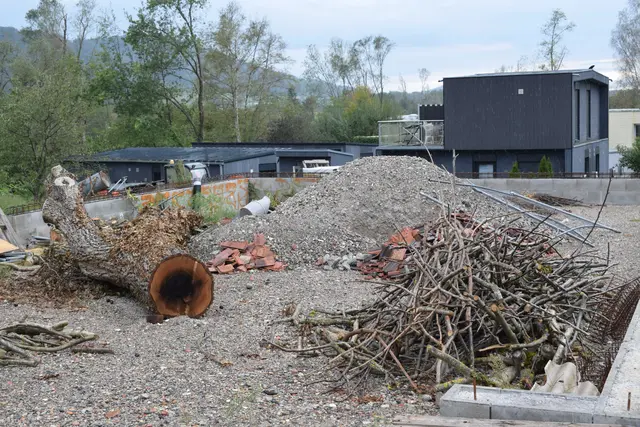 Gut zwei Wochen nach dem schweren Unwetter zog der Ortschaftsrat Bohlingen in seiner ersten Sitzung nach der Sommerpause eine Bilanz der Sturmschäden. Für das große Aufkommen an Sturmholz wurden Sammelstellen eingerichtet. | Foto: Achim Holzmann