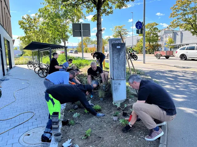 Die Stadtwerke-Mitarbeiter legten sich ins Zeug für ein buntes, biodiverses Firmengelände: Bei der Mitarbeiteraktion befreiten sie zunächst eine Fläche vom alten Bewuchs, um sie dann mit heimischen standortangepassten Stauden zu bepflanzen. | Foto: Stadtwerke Radolfzell