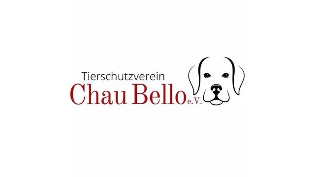 Foto: Tierschutzverein Chau Bello e.V. 