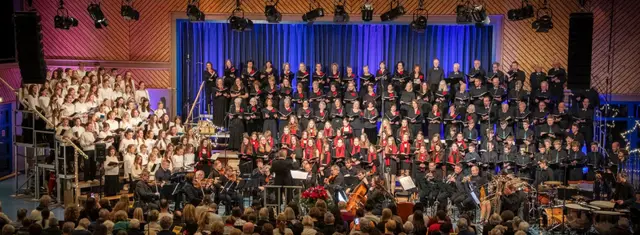 Foto: Vokalensemble Gaienhofen · Markus Worringe
