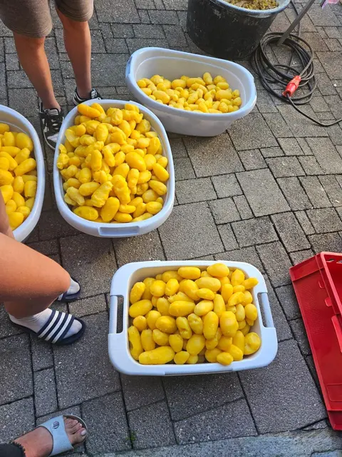 Foto: VA