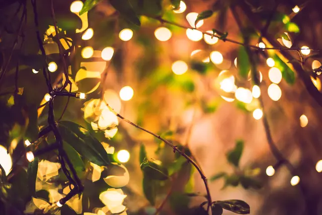 Foto: AdobeStock